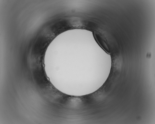 X0000110740572200907131123