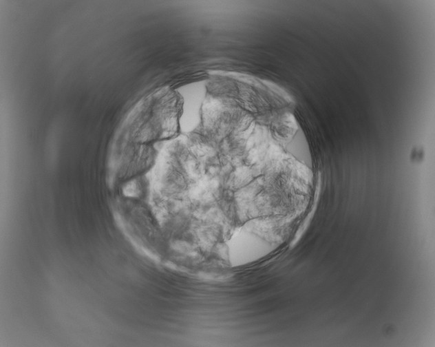 X0000110740573200907131123