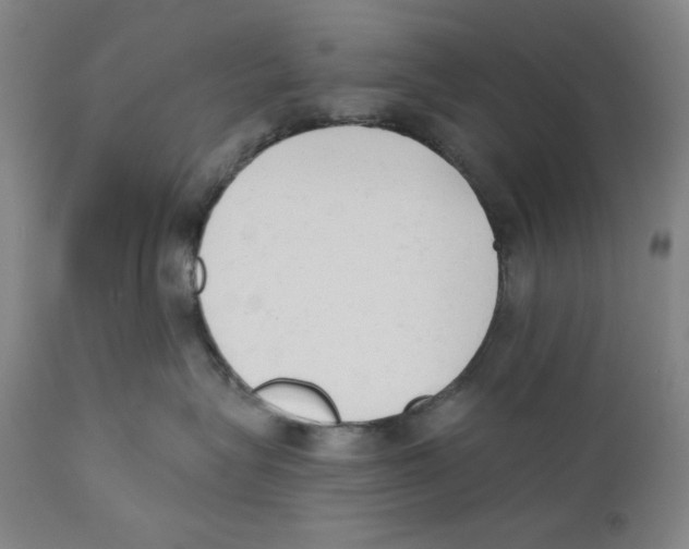X0000110740575200907131123