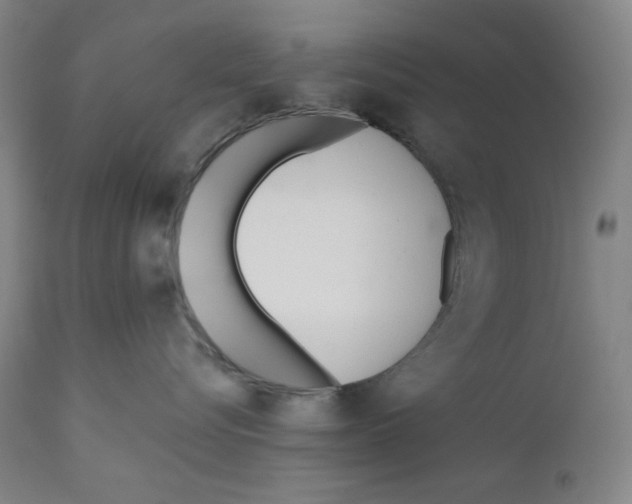 X0000110740576200907131123