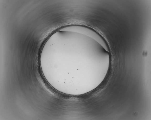 X0000110740581200907131123