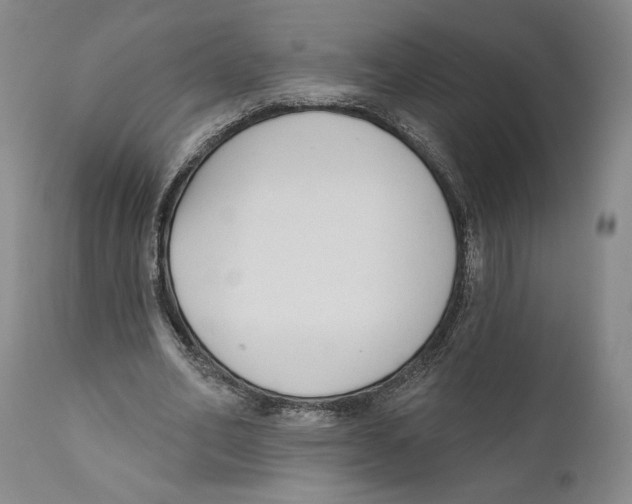 X0000110740582200907131123