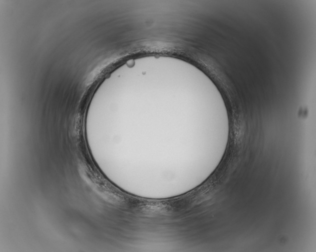 X0000110740583200907131123