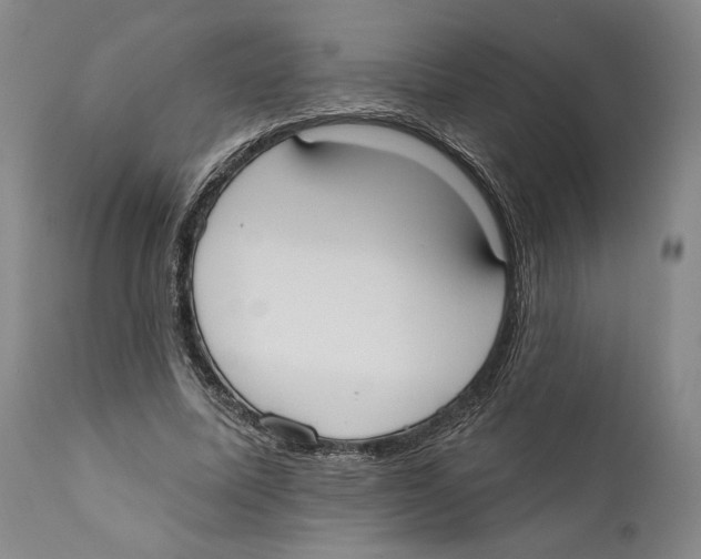 X0000110740587200907131123