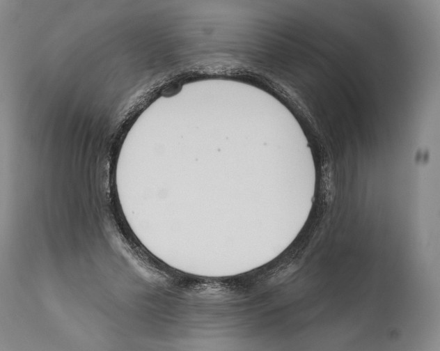 X0000110740589200907131123