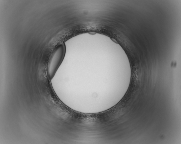 X0000110740593200907131122