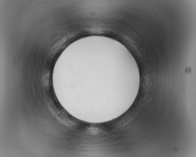 X0000110740596200907131122