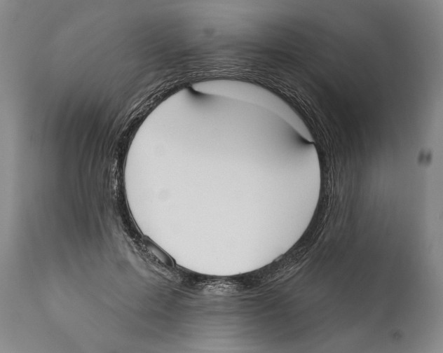 X0000110740599200907131122