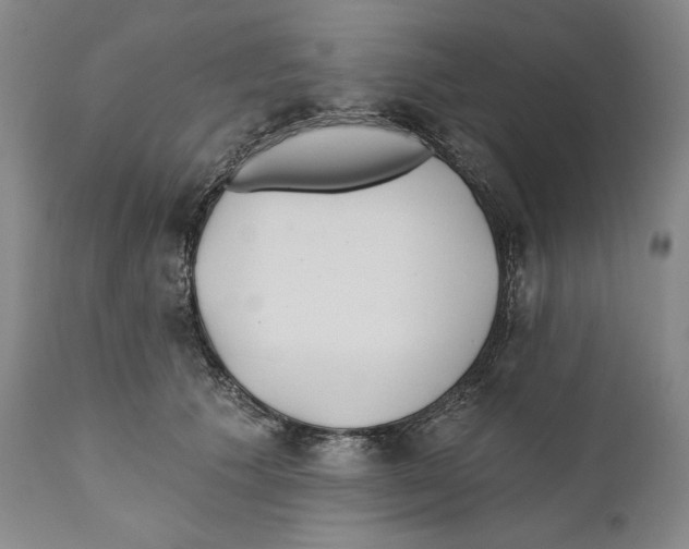 X0000110740609200907131122