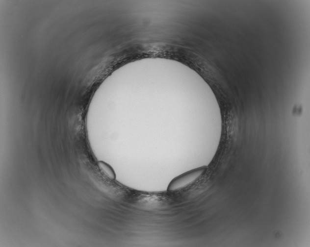 X0000110740611200907131122