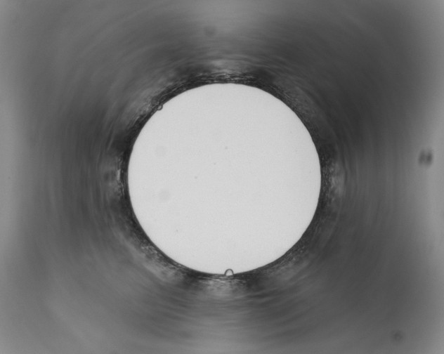 X0000110740615200907131122