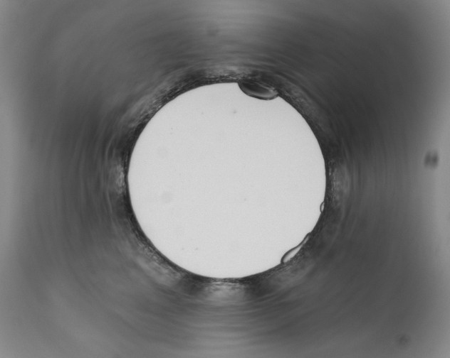 X0000110740617200907131122