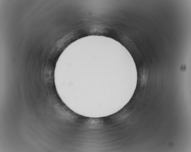 X0000110740619200907131122
