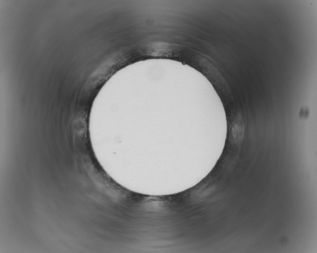 X0000110740620200907131122