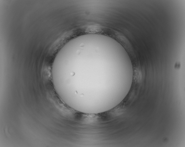 X0000110740621200907131122