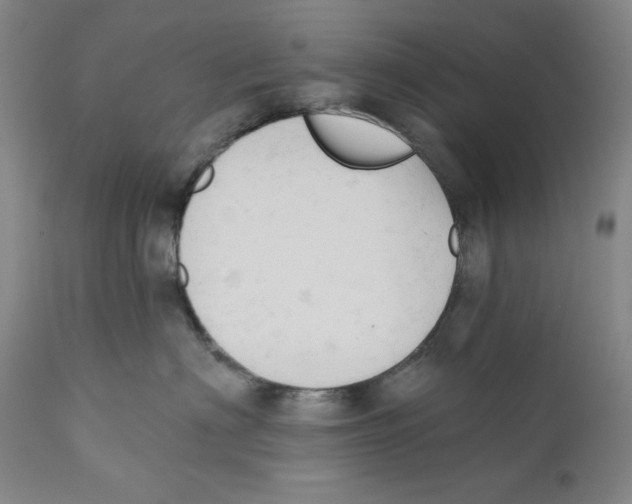 X0000110740622200907131122
