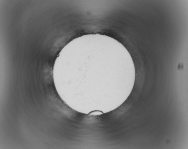 X0000110740624200907131122