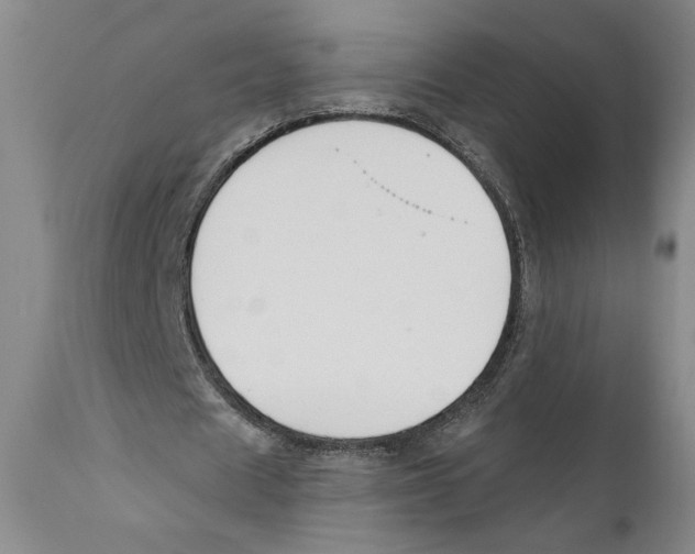 X0000110740625200907131121