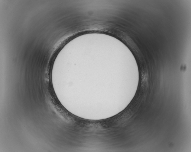 X0000110740628200907131121