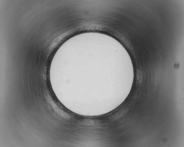 X0000110740629200907131121