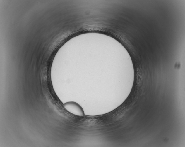 X0000110740631200907131121