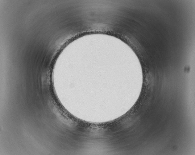 X0000110740632200907131121
