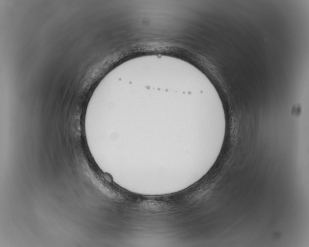 X0000110740633200907131122