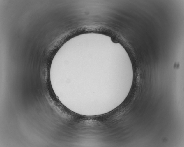X0000110740637200907131122