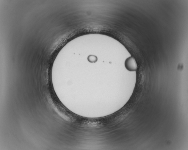 X0000110740638200907131122