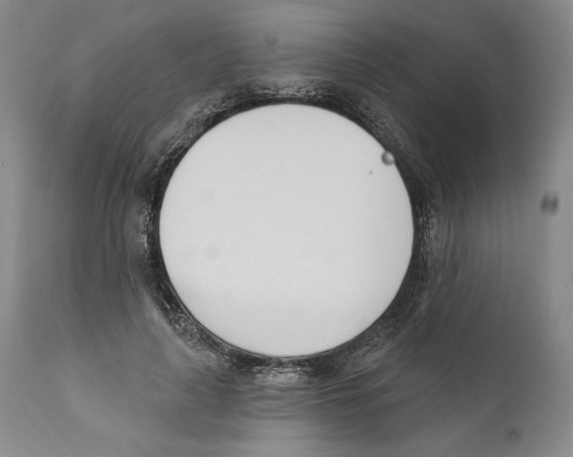 X0000110740643200907131122