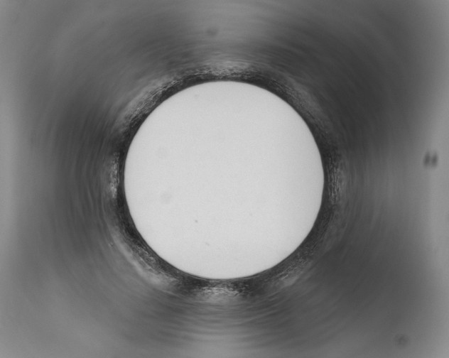 X0000110740644200907131122