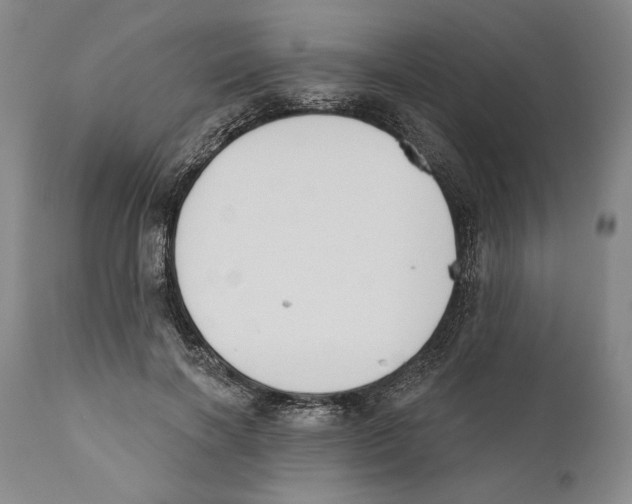 X0000110740646200907131122