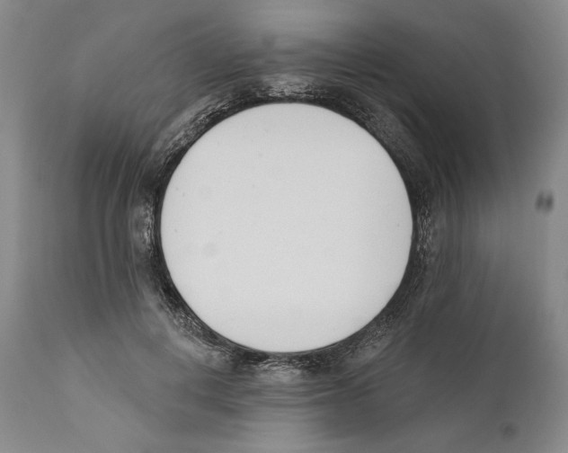 X0000110740648200907131122