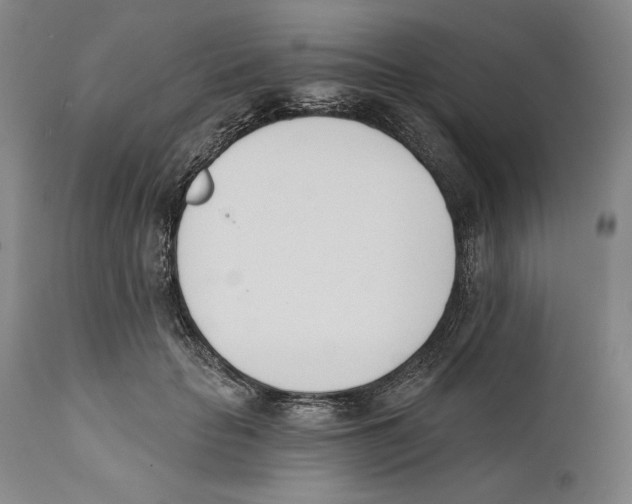 X0000110740653200907131122