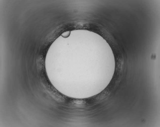 X0000110740659200907131122