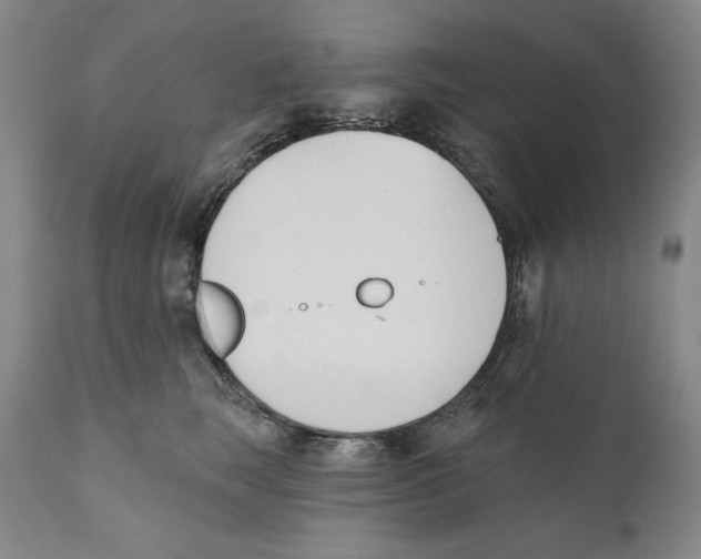X0000110740663200907131122