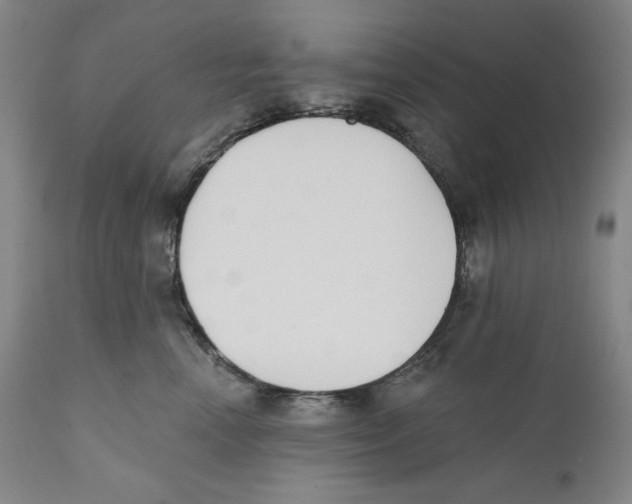 X0000110740666200907131122