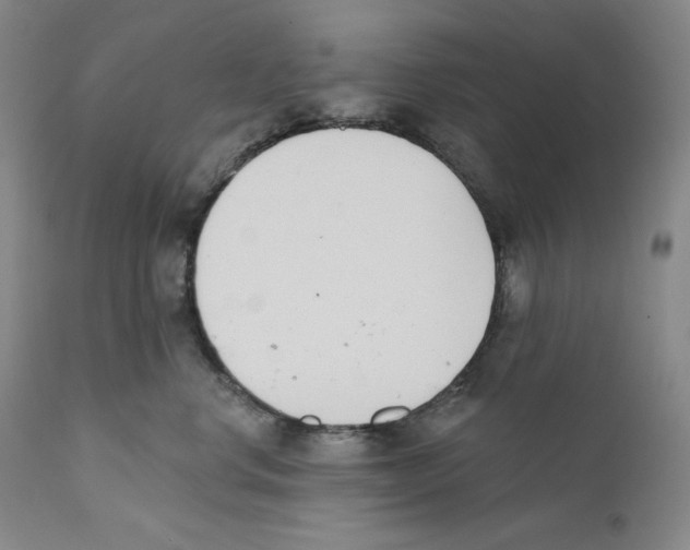 X0000110740668200907131122