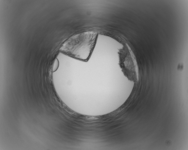 X0000110740669200907131122