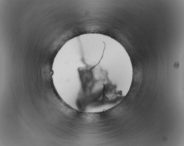 X0000110740670200907131122