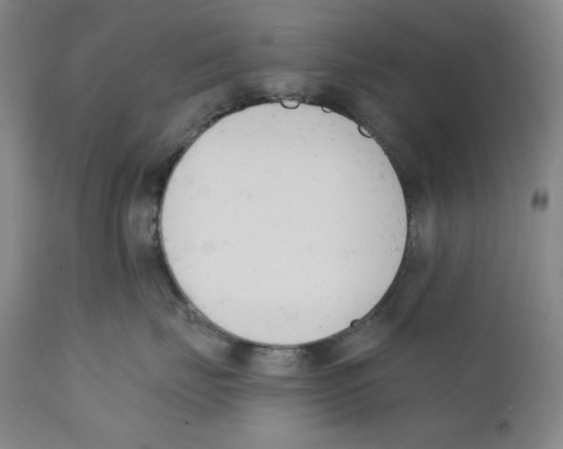 X0000110740671200907131122