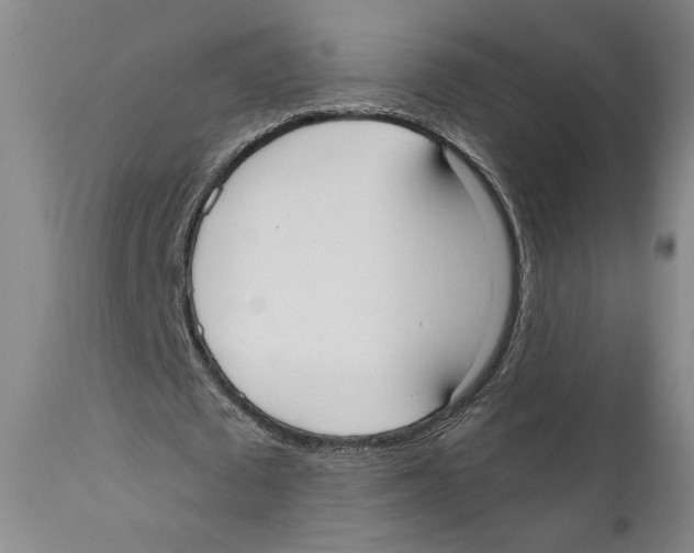 X0000110740673200907131121