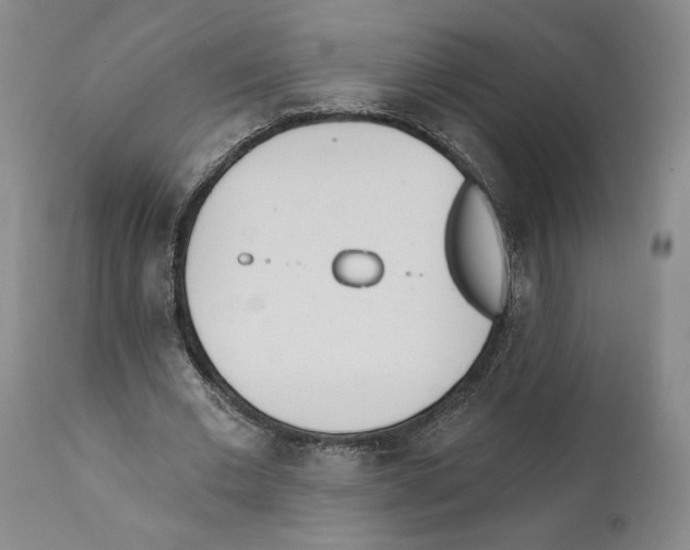 X0000110740677200907131121