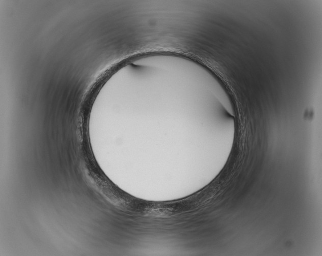 X0000110740680200907131121