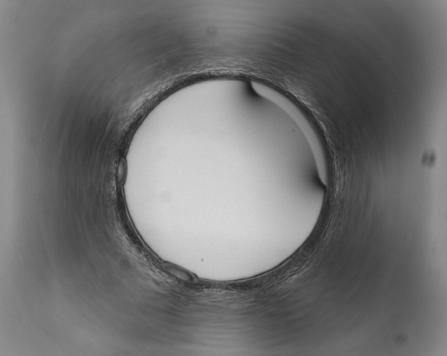 X0000110740681200907131121