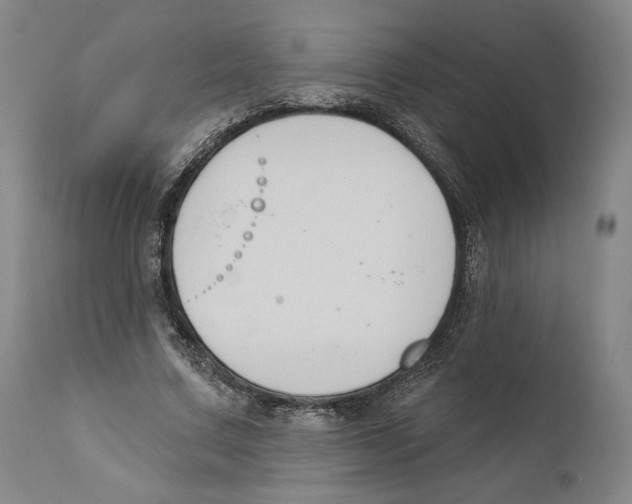 X0000110740683200907131121