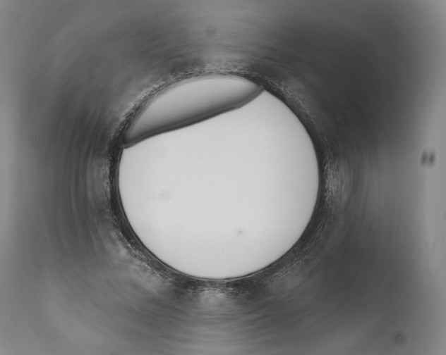 X0000110740684200907131121