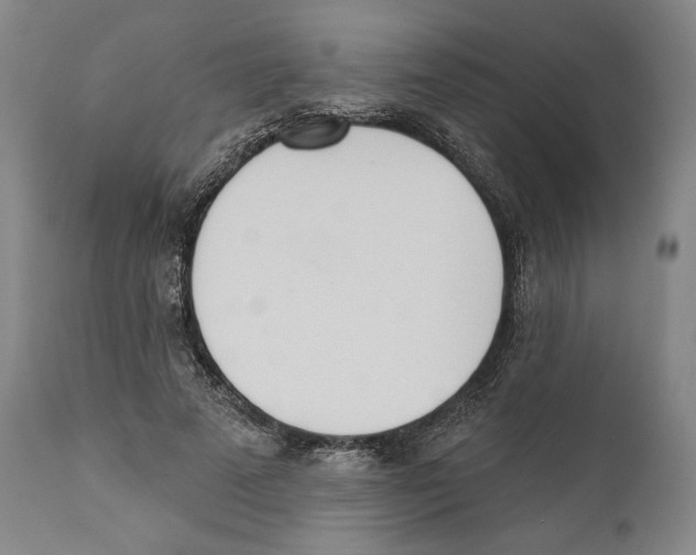X0000110740689200907131121