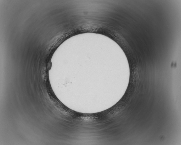 X0000110740693200907131121