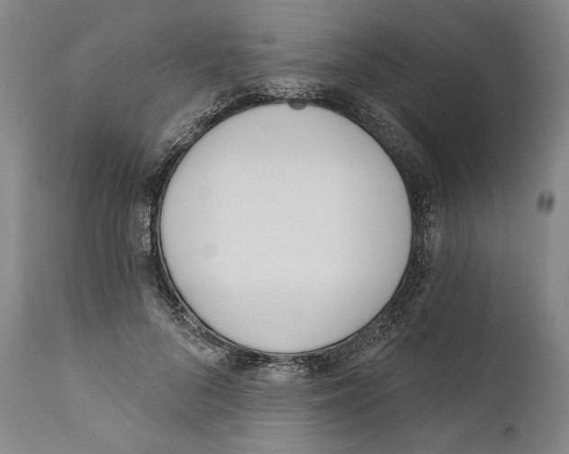 X0000110740696200907131121